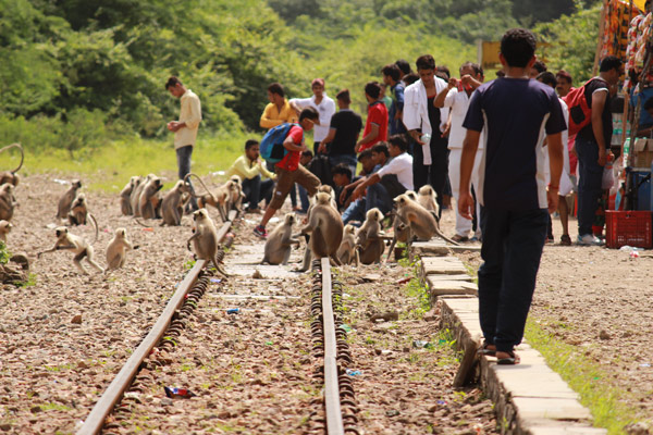 Goram Ghat 2021 Photos in HD 65